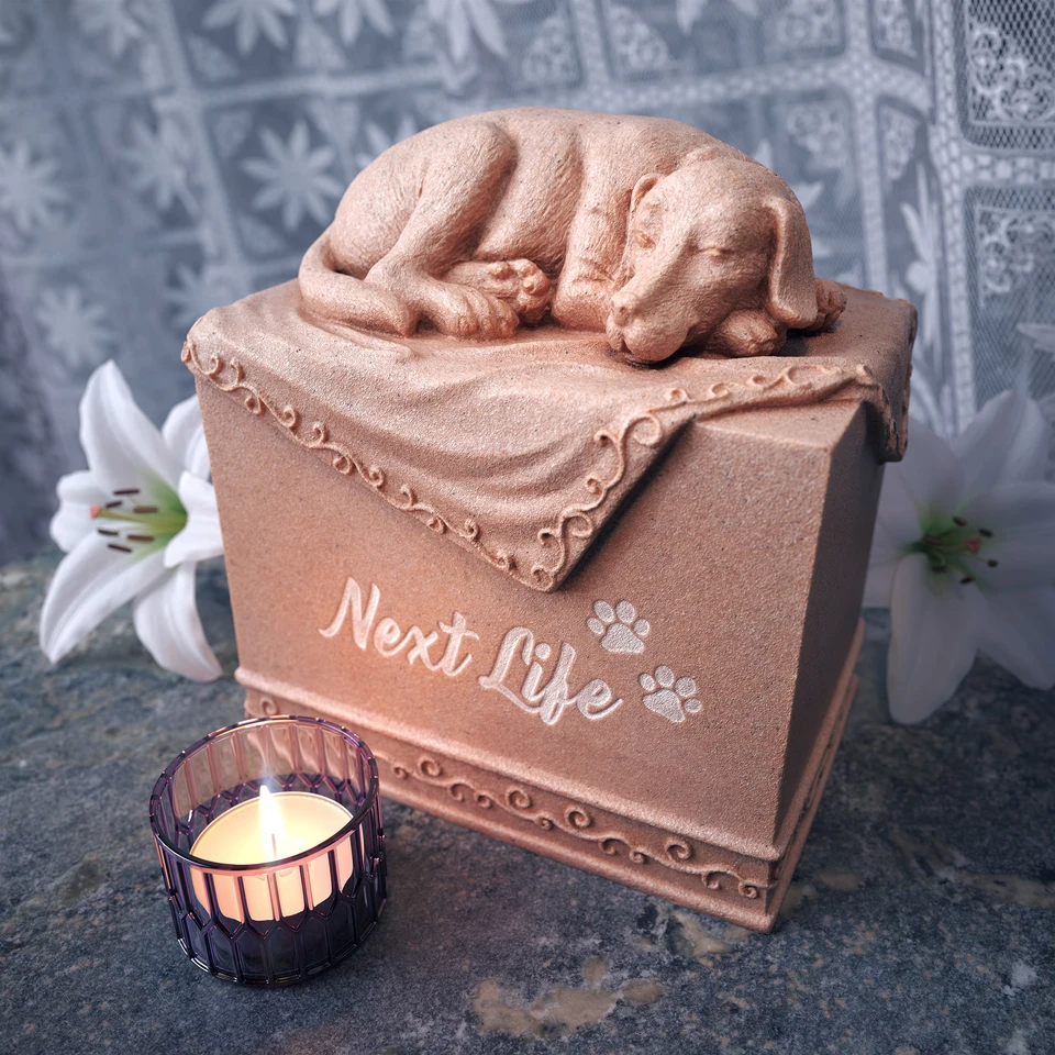2021 - Next Life by Tzusing (Sea Cucumber)