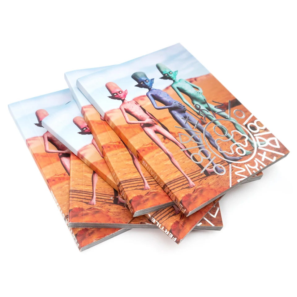Booklet of story images included with physical items.